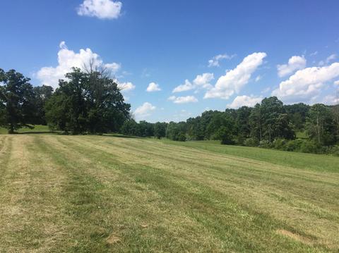 398 E Honaker, Georgetown, KY 40379 photo 39