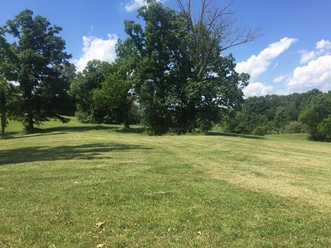 398 E Honaker, Georgetown, KY 40379 photo 44