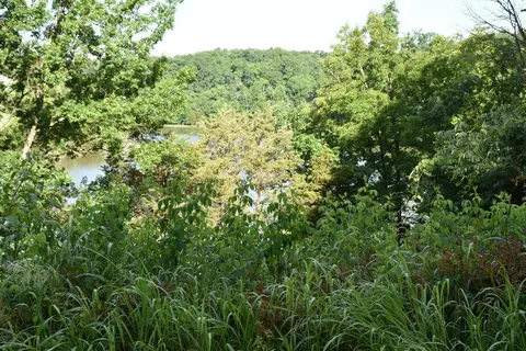 114 Canvasback Ct, Georgetown, KY 40324 photo 7