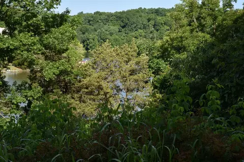 114 Canvasback Ct, Georgetown, KY 40324 photo 6