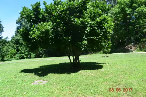 175 Ingram Rd, Morehead, KY 40351 photo 56
