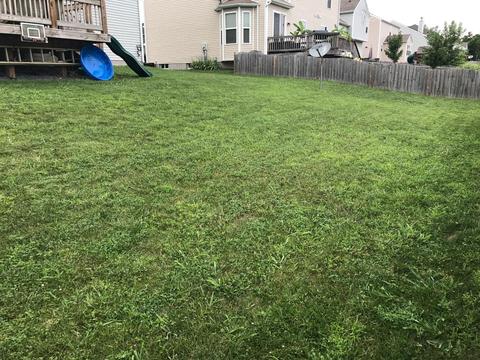 165 Stapleton Way, Georgetown, KY 40324 photo 28