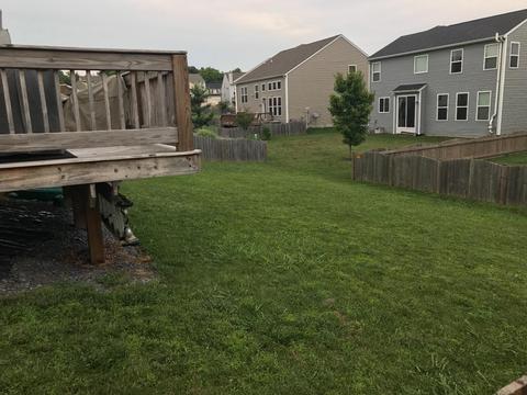 165 Stapleton Way, Georgetown, KY 40324 photo 30