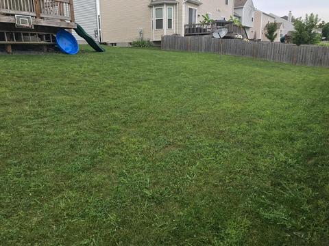 165 Stapleton Way, Georgetown, KY 40324 photo 29