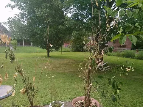 210 Brown St, Berea, KY 40403 photo 5