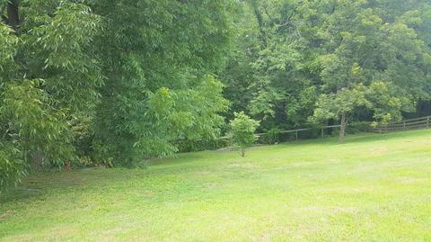 56 Hawe St, Corbin, KY 40701 photo 32