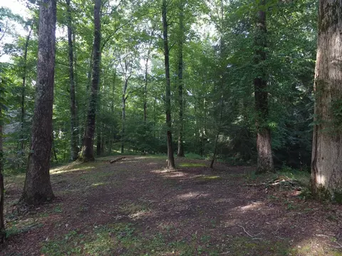 85 Cannonade Trl, Corbin, KY 40701 photo 17