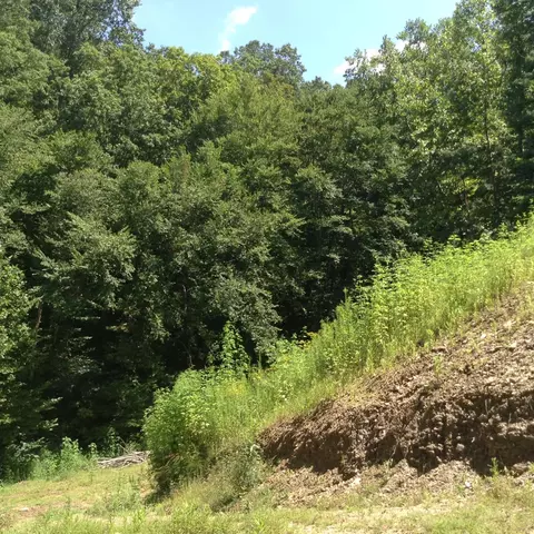 3572 Highway 1098, Jackson, KY 41339 photo 4