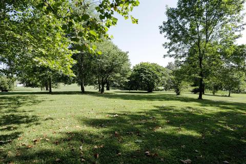 180 Gemini Trl, Georgetown, KY 40324 photo 15