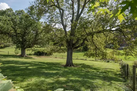 222 Augusta Dr, Georgetown, KY 40324 photo 45