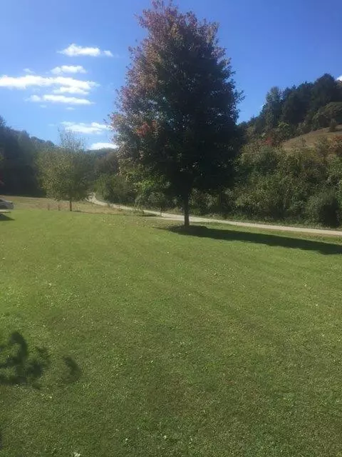 953 W Phils Branch Rd, Grassy Creek, KY 41352 photo 4