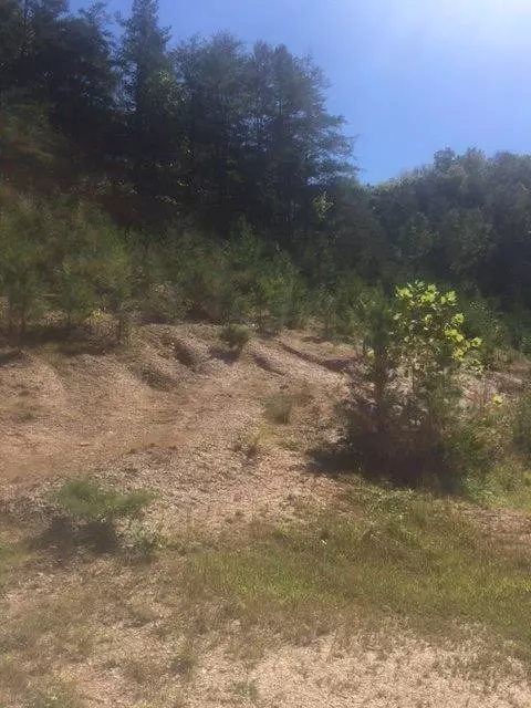 953 W Phils Branch Rd, Grassy Creek, KY 41352 photo 5