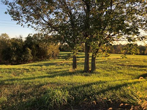 348 Thompson Rd, Lancaster, KY 40444 photo 35