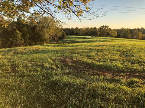 348 Thompson Rd, Lancaster, KY 40444 photo 36