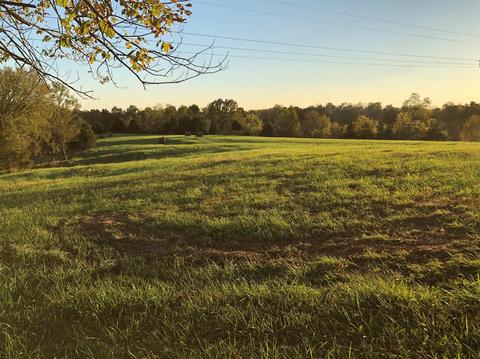 348 Thompson Rd, Lancaster, KY 40444 photo 37