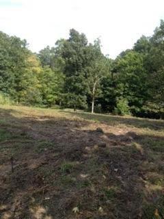 379 Forest Trail Dr, Berea, KY 40403 photo 2