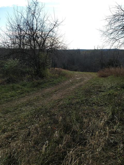 2005 Stringtown Rd, Berry, KY 41010 photo 3