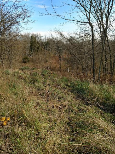 2005 Stringtown Rd, Berry, KY 41010 photo 5