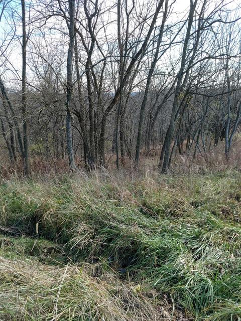 2005 Stringtown Rd, Berry, KY 41010 photo 6