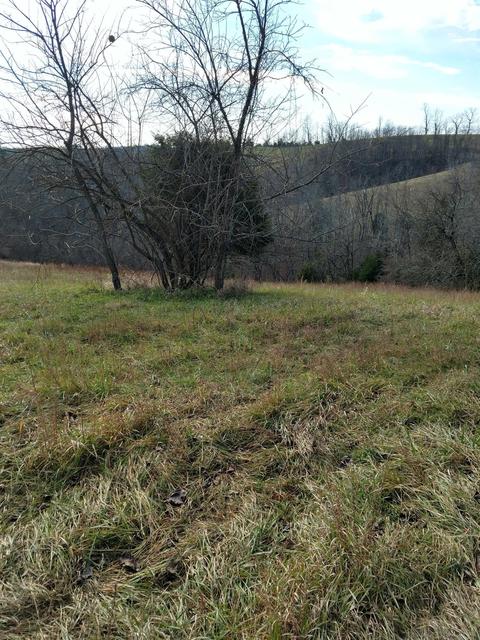 2005 Stringtown Rd, Berry, KY 41010 photo 4