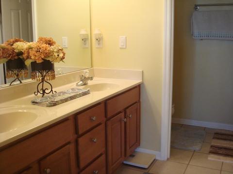 121 Stone Wall Path, Georgetown, KY 40324 photo 10