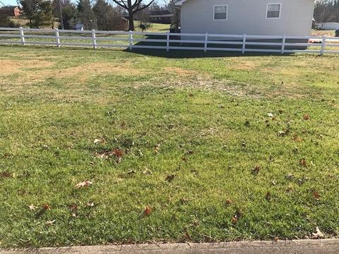 204 Cobb St, Corbin, KY 40701 photo 62