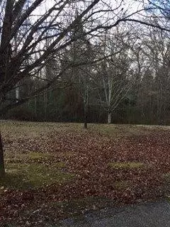 104 Cherry Pt, Strunk, KY photo 5