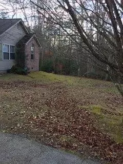 104 Cherry Pt, Strunk, KY photo 4