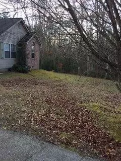 104 Cherry Pt, Strunk, KY photo 3