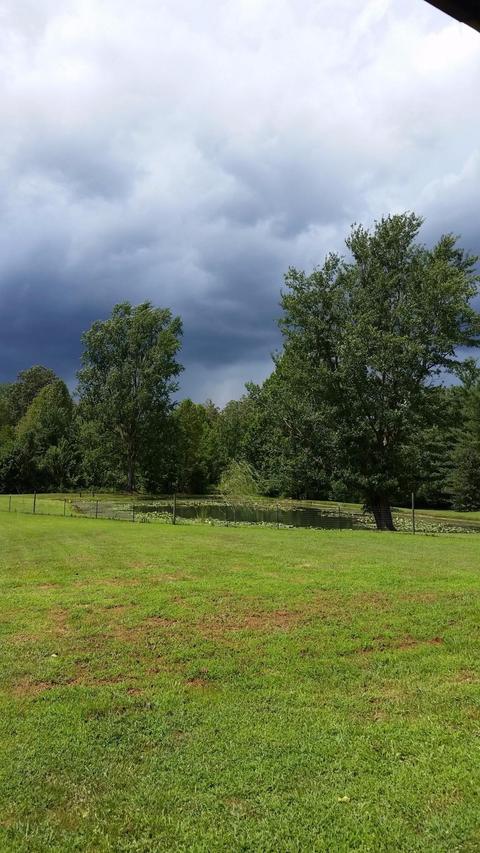 315 Bowen Rd, Stanton, KY 40380 photo 25