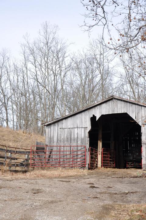 1350 Buchanan Rd, Ewing, KY 41039 photo 46