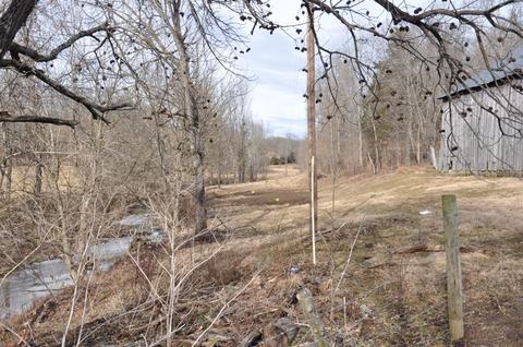 1350 Buchanan Rd, Ewing, KY 41039 photo 58