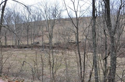 1350 Buchanan Rd, Ewing, KY 41039 photo 70