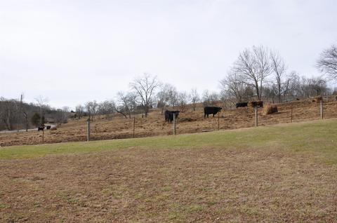 1350 Buchanan Rd, Ewing, KY 41039 photo 38