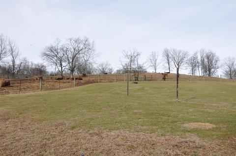 1350 Buchanan Rd, Ewing, KY 41039 photo 39