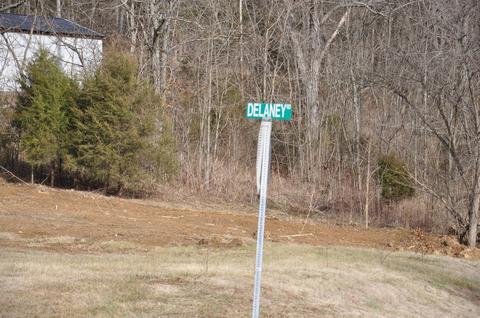 1350 Buchanan Rd, Ewing, KY 41039 photo 59