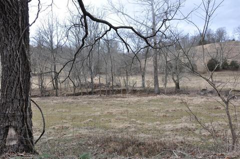 1350 Buchanan Rd, Ewing, KY 41039 photo 71