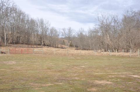 1350 Buchanan Rd, Ewing, KY 41039 photo 55