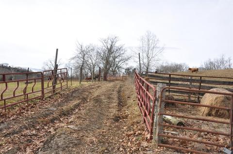 1350 Buchanan Rd, Ewing, KY 41039 photo 49