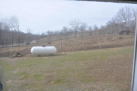 1350 Buchanan Rd, Ewing, KY 41039 photo 16