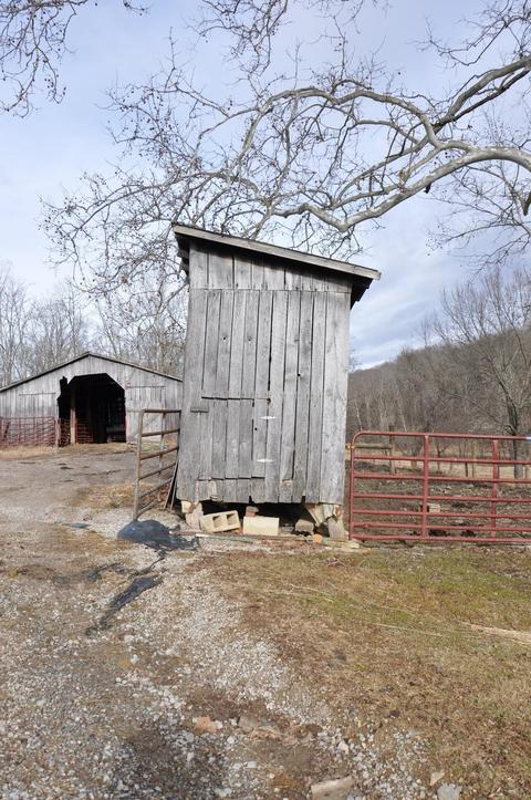 1350 Buchanan Rd, Ewing, KY 41039 photo 47