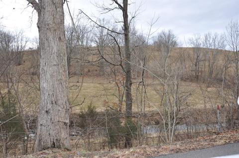 1350 Buchanan Rd, Ewing, KY 41039 photo 68