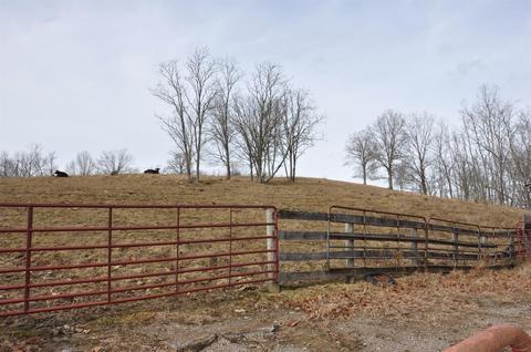 1350 Buchanan Rd, Ewing, KY 41039 photo 48