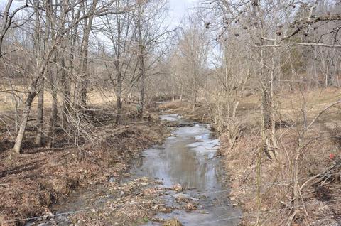 1350 Buchanan Rd, Ewing, KY 41039 photo 57