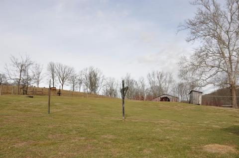 1350 Buchanan Rd, Ewing, KY 41039 photo 40