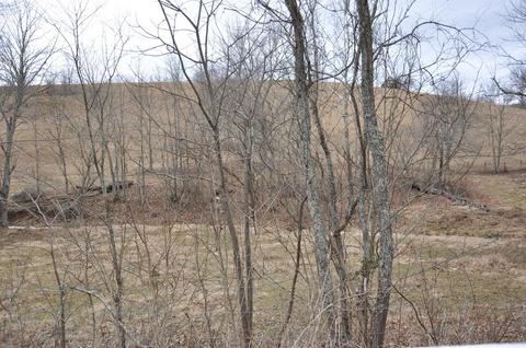 1350 Buchanan Rd, Ewing, KY 41039 photo 69