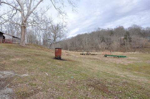 1350 Buchanan Rd, Ewing, KY 41039 photo 44