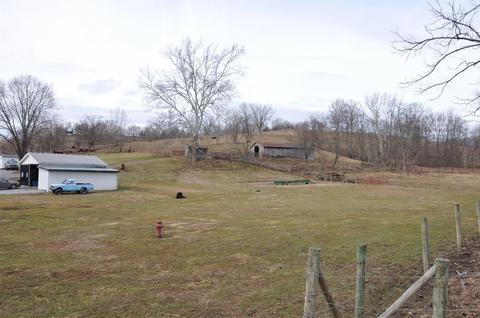 1350 Buchanan Rd, Ewing, KY 41039 photo 66