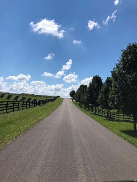 109 Sable Ln, Georgetown, KY 40324 photo 1