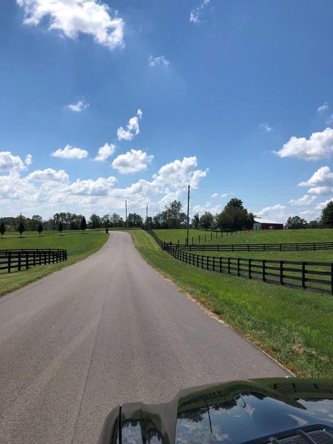 109 Sable Ln, Georgetown, KY 40324 photo 3